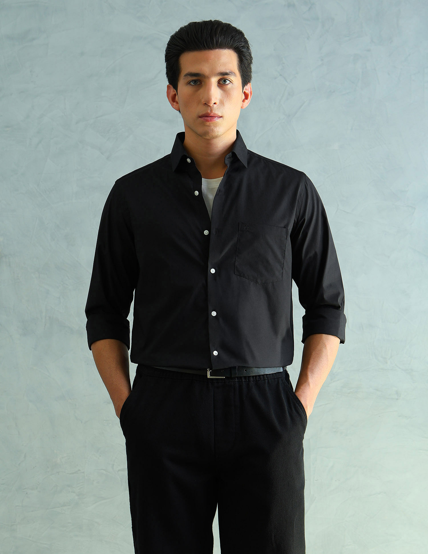 Arrow Slim Fit Smart Formal Shirt