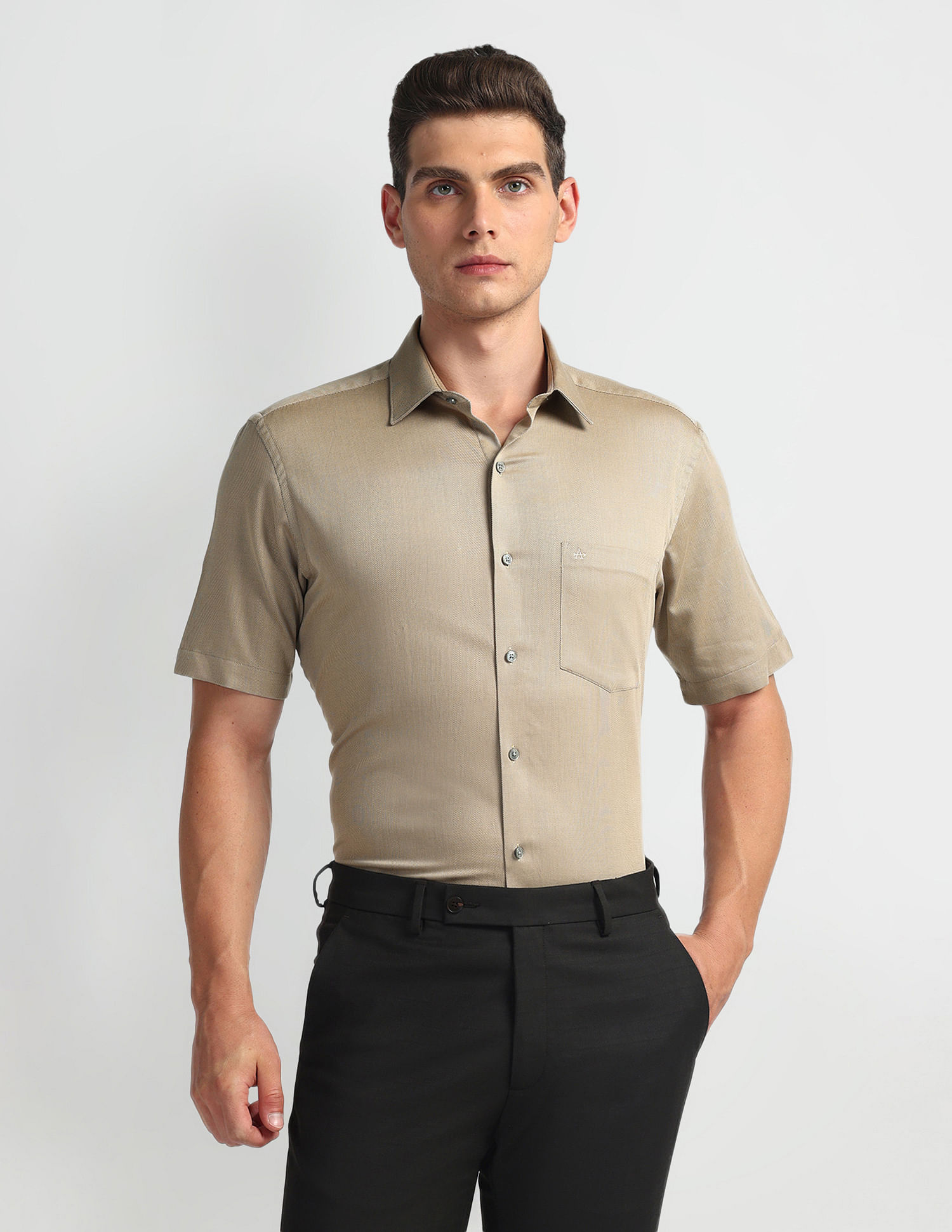 Arrow Solid Dobby Regular Fit Shirt