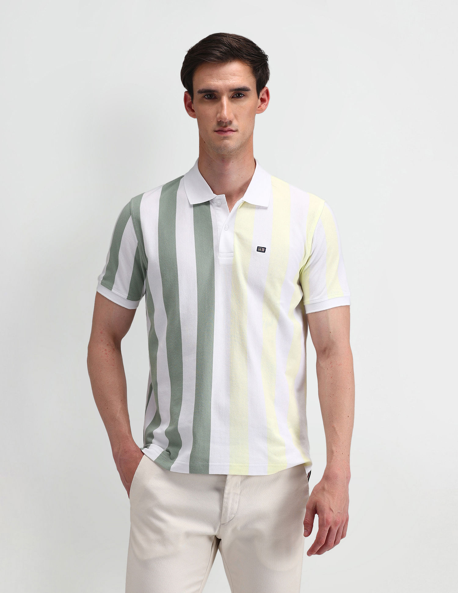Arrow Sport Vertical Striped Regular Polo Shirt