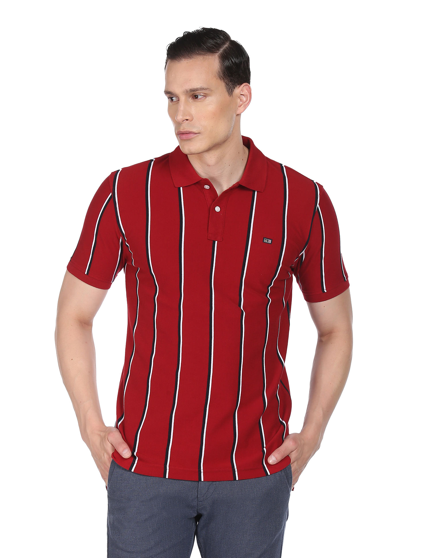 Arrow Sports Vertical Stripe Cotton Polo Shirt