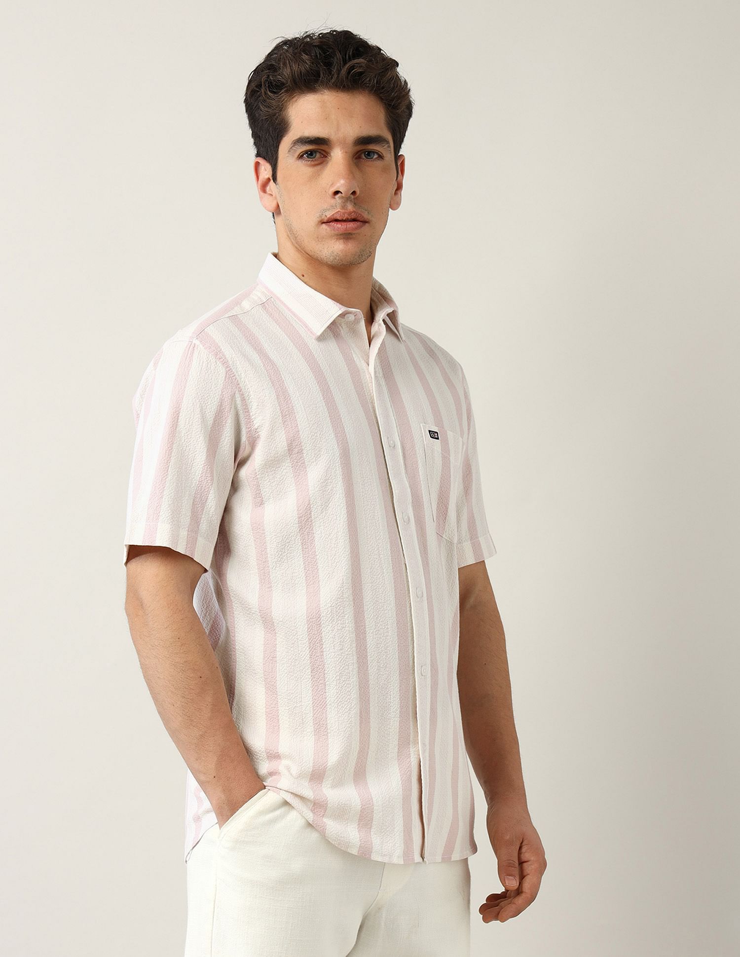 Arrow Sport Vertical Striped Regular Fit Shirt