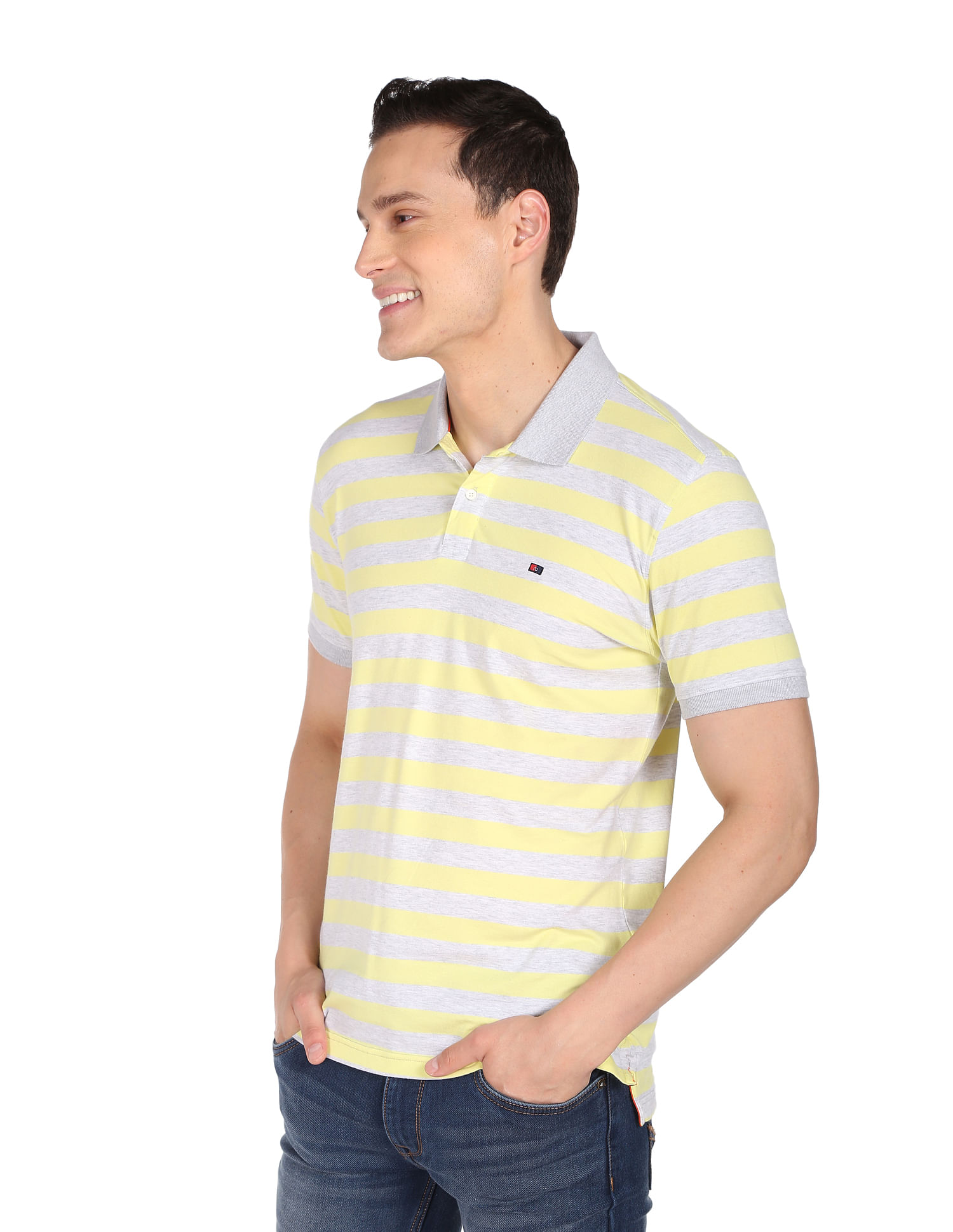 AD by Arvind Horizontal Stripe Heathered Polo Shirt