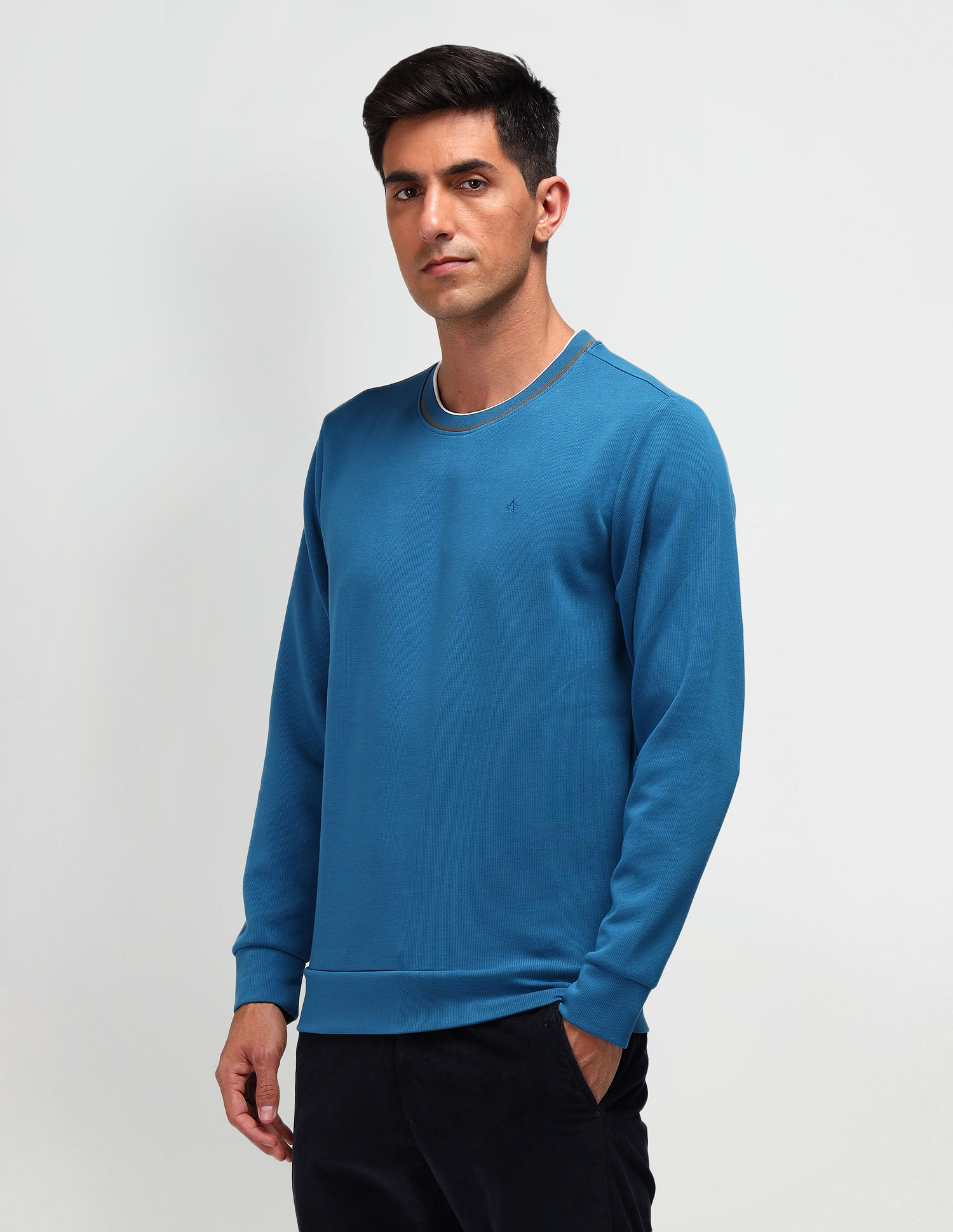 Arrow Textured Regular Fit Sweatshirt