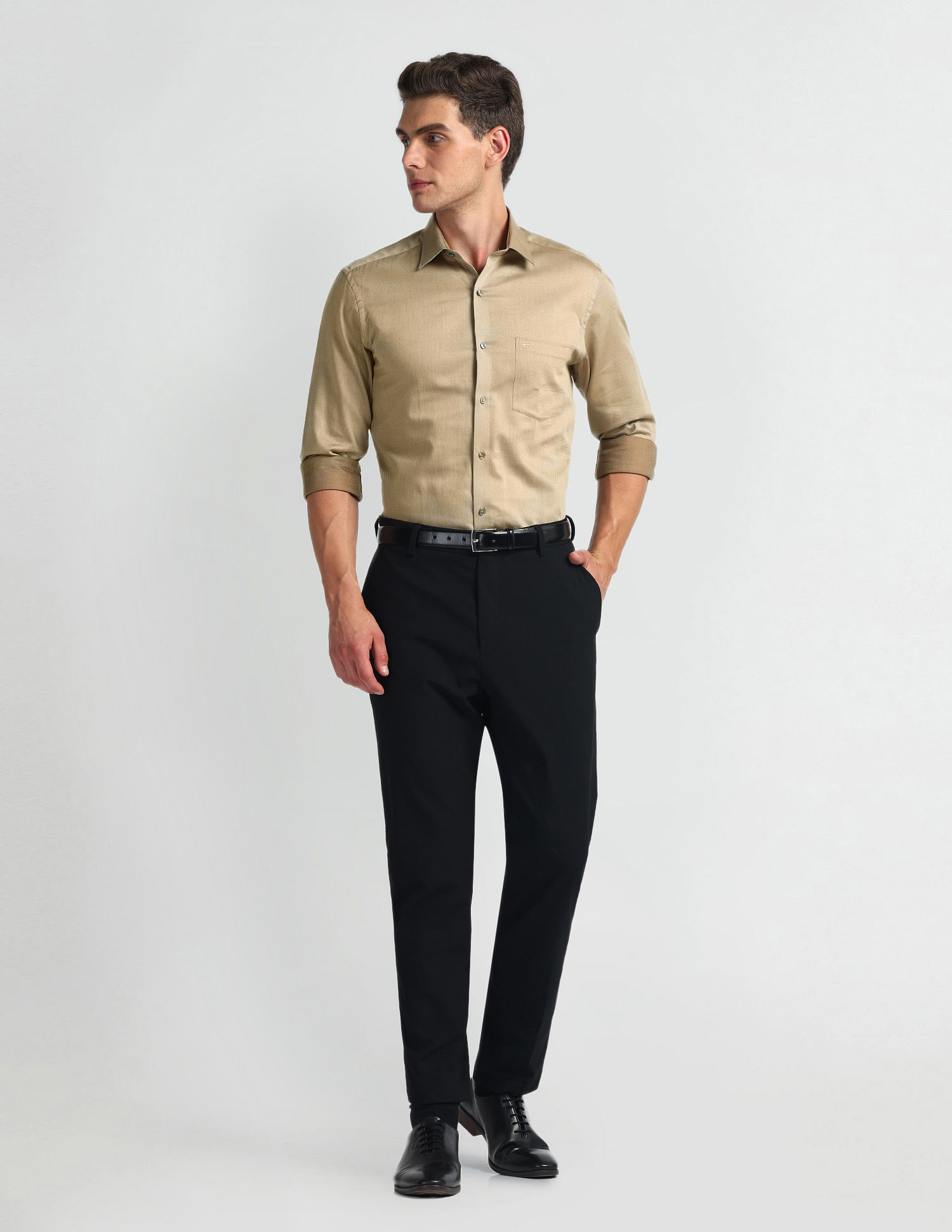 Arrow Solid Dobby Regular Fit Shirt
