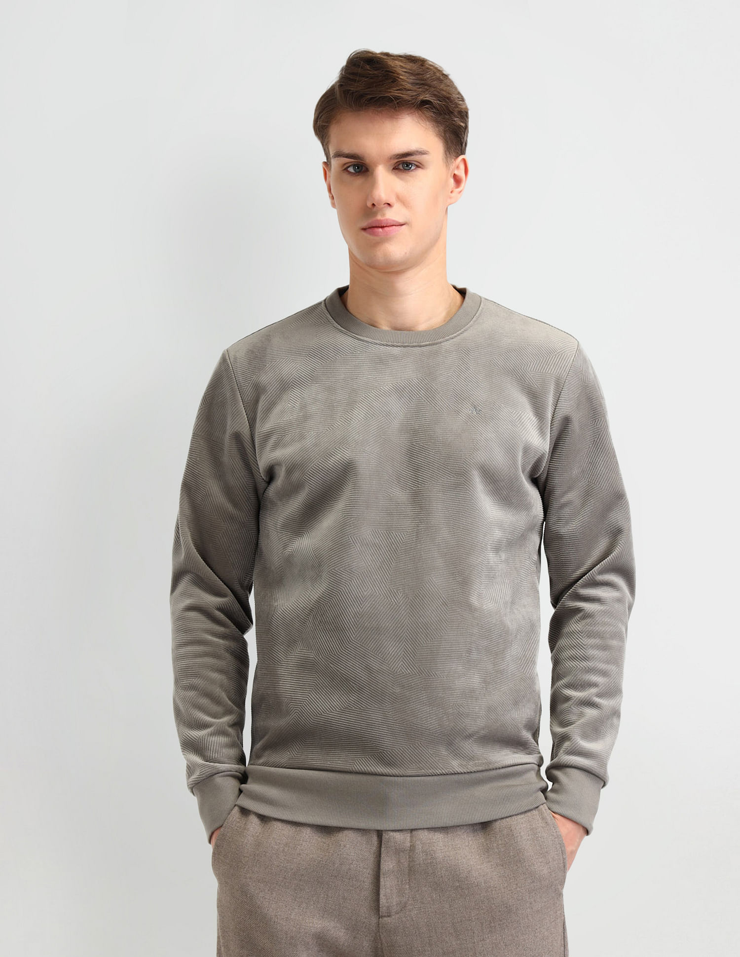 Arrow Textured Regular Fit Sweatshirt