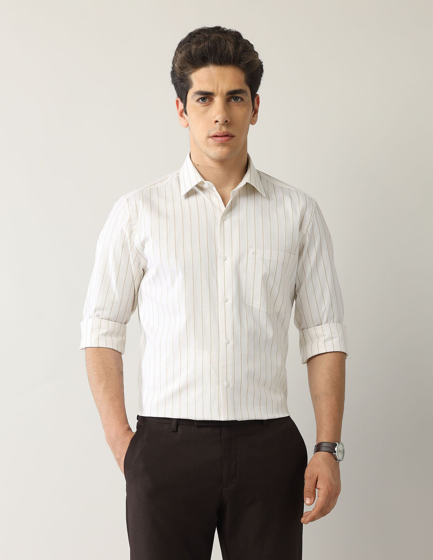 Arrow Liberty Classic Fit Vertical Striped Shirt