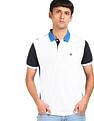 AD by Arvind Cotton Colour Block Polo Shirt