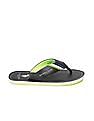 U.S. Polo Assn. Brand Print Patt 2.0 Flip Flops