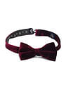 Arrow Men Pre Tied Velvet Bow Tie