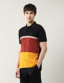 Arrow Sport Colourblocked Regular Fit Polo Shirt