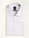 Arrow Liberty Classic Fit Ceremonial Shirt