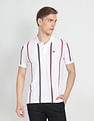 Arrow Sports Cotton Vertical Stripe Polo Shirt