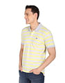 AD by Arvind Horizontal Stripe Heathered Polo Shirt