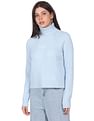 Calvin Klein Jeans Women Light Blue Turtle Neck Embroidered Monogram Sweater
