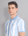 AD by Arvind Vertical Stripe Real Deal Polo Shirt
