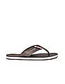 U.S. Polo Assn. Brand Print Patt 2.0 Flip Flops
